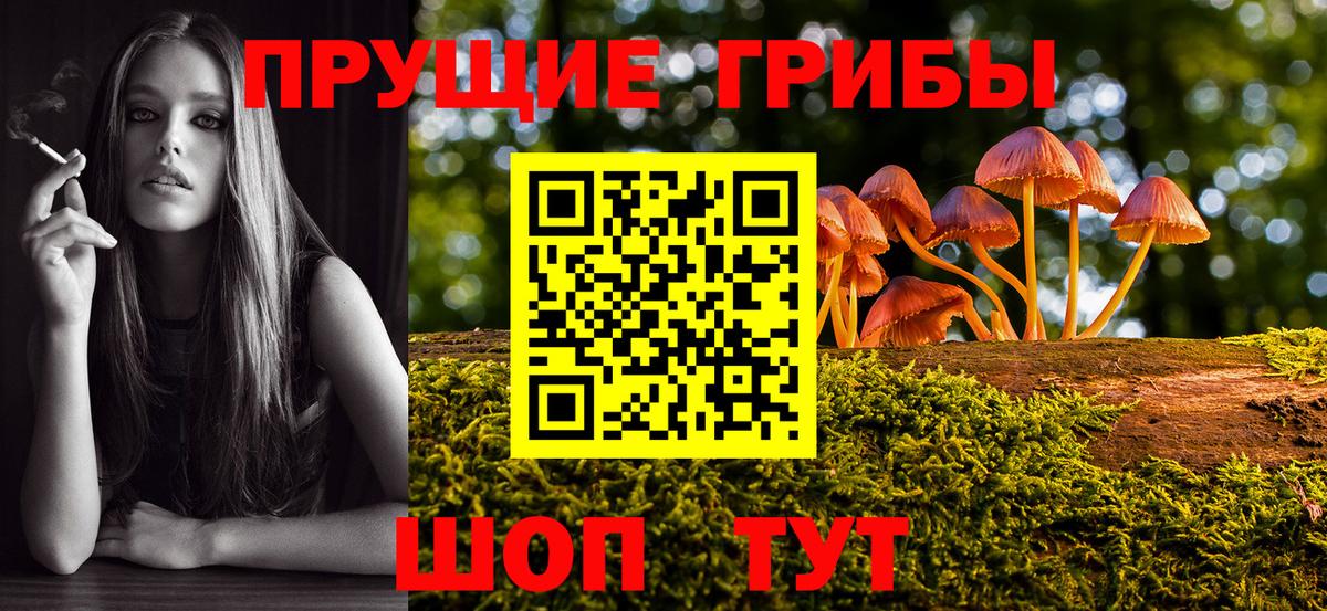 Волжск  Псилоцибиновые грибы GOLDEN TEACHER  Вход с VPN 