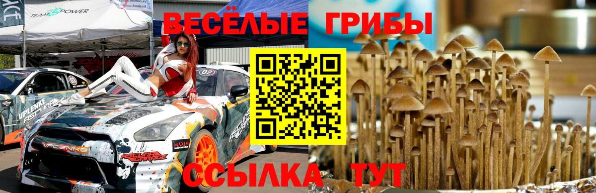 Псилоцибиновые грибы Cubensis Волжск